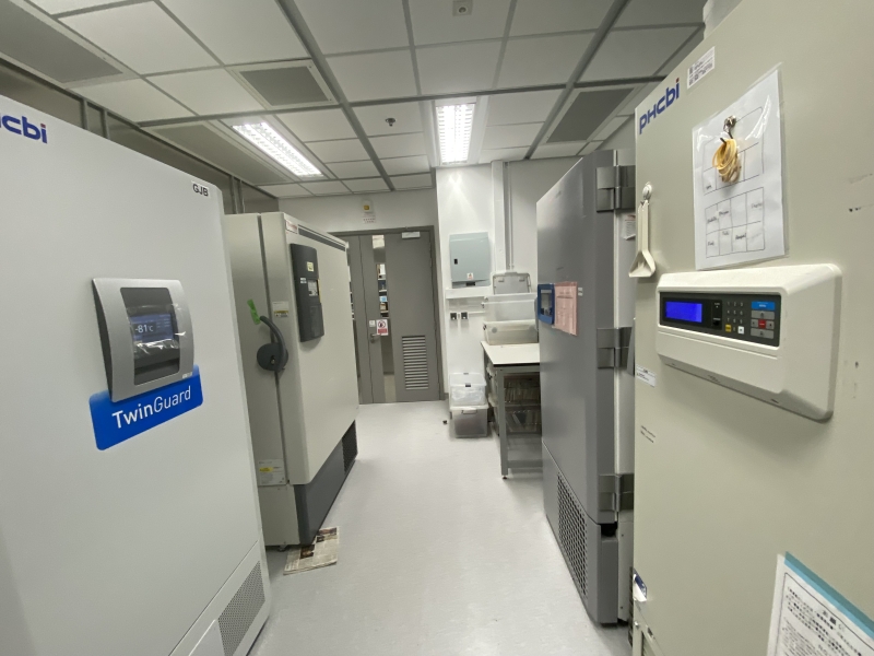 Ultra-low temperature (-80°C) freezers are housed in a centralized, cooled environment, optimizing space and energy use. Shared refrigerators enable regular defrosting, maintaining specimen integrity and operational efficiency.