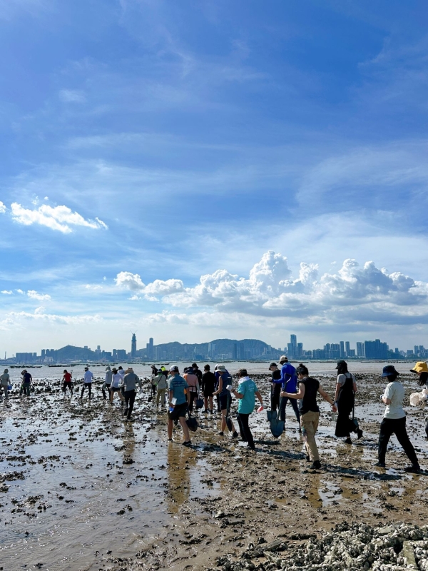 Centuries of human activity have significantly diminished these critical habitats in Hong Kong.