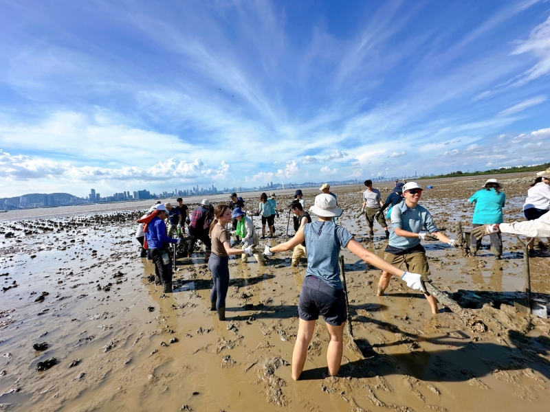 The shorelines of Pak Nai are cluttered with debris from abandoned oyster farms, including oyster shells and concrete poles, which degrade the habitats of endangered horseshoe crabs.