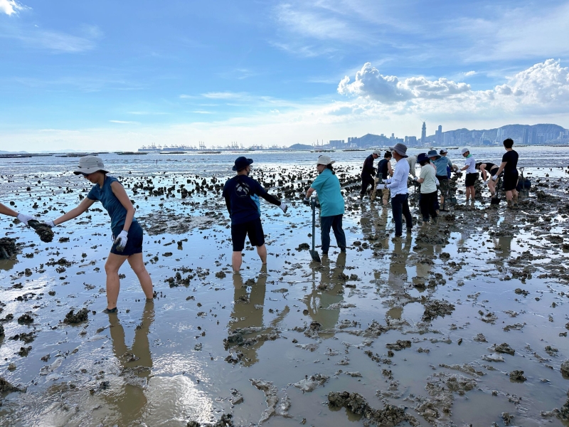 Our Impact Makers learned about biodiversity through an eco-tour and actively contributed to conservation efforts by removing concrete poles and collecting shells to help reconfigure natural reefs on the mudflats.