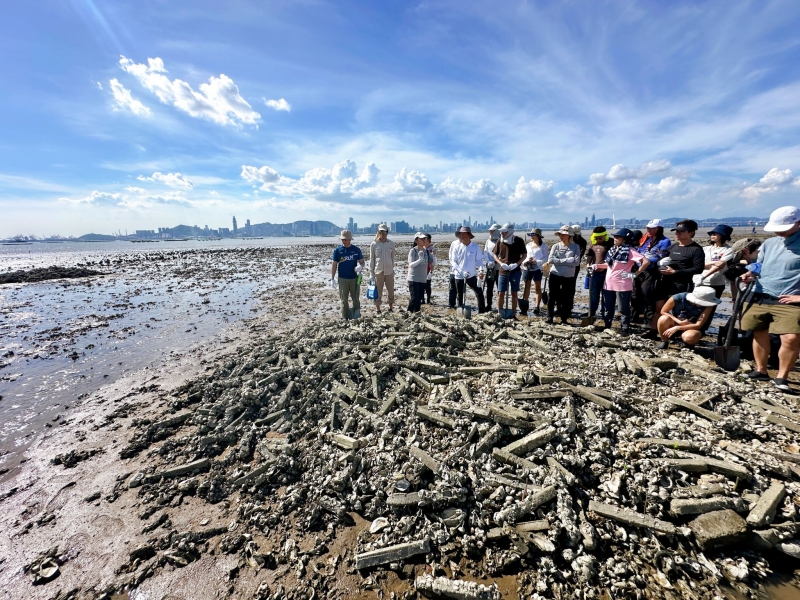 Shellfish reefs, the most endangered marine habitats globally, have suffered an estimated 85% loss.