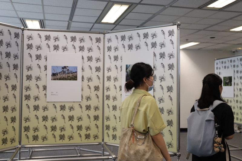 The "Your Backyard Your Lens – HKUST Biodiversity Photo Competition," inviting our campus community to explore and capture the natural beauty that surrounds us.