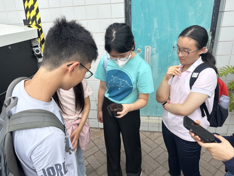 They learned about black soldier flies project that converts up to 50 kg of food waste daily into organic fertilizer.