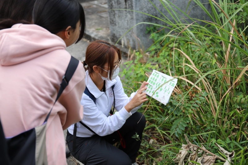 By the end, the group had collectively identified 166 species through 938 observations and celebrated their efforts with small prizes, showing that building biodiversity literacy can be fun, collaborative, and empowering for everyone, regardless of academic background.