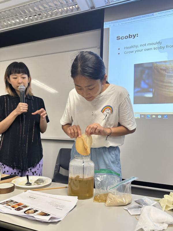 "scoby" (symbiotic culture of bacteria and yeasts)