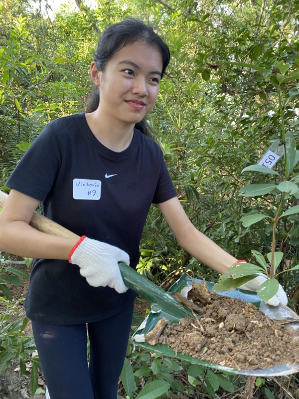 The university community took proactive measures to save the saplings.