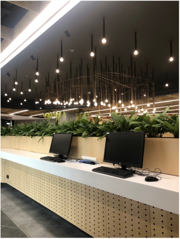 To further enhance wellness, the design includes strategically placed planters and indoor plants to improve air quality and create a calming atmosphere.