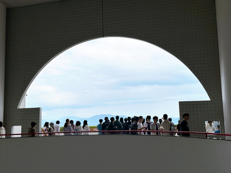 Busking performances in the mushroom area, where our students from diverse backgrounds shared their love of music.