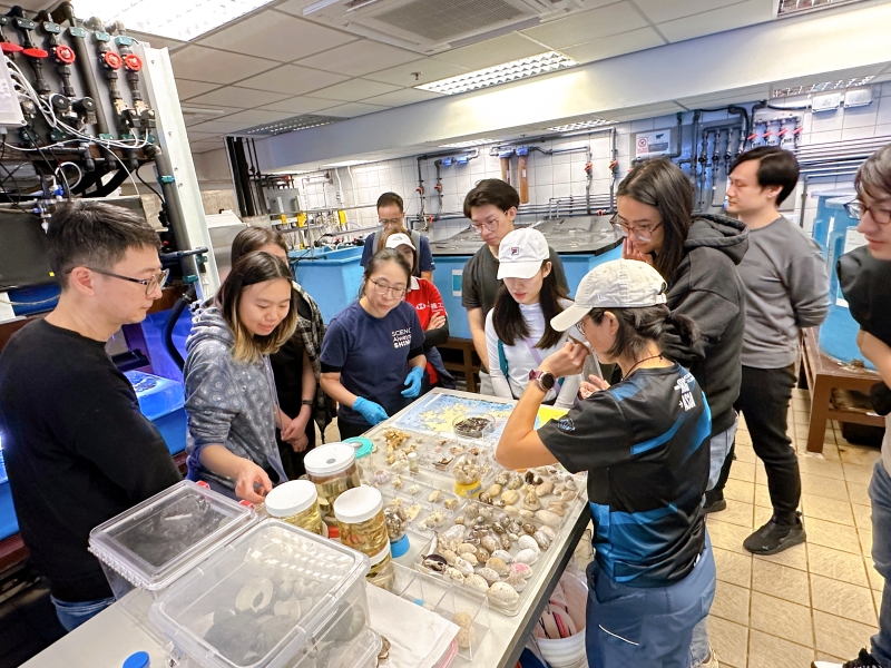 Tour introducing participants to various marine species and the biodiversity of the local marine environment.