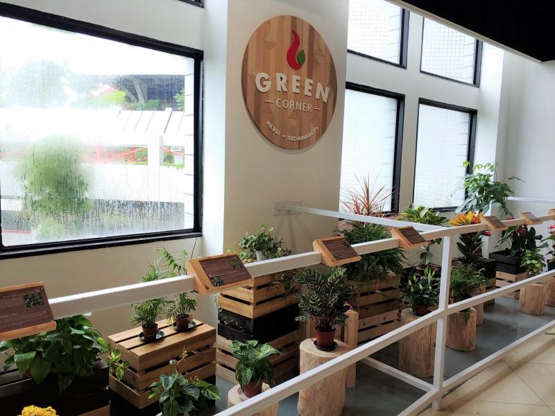 A study done at the University of Technology Sydney showed that indoor plants in workplaces resulted in a 37% reduction in employees’ tension and anxiety, and a 38% drop in fatigue.