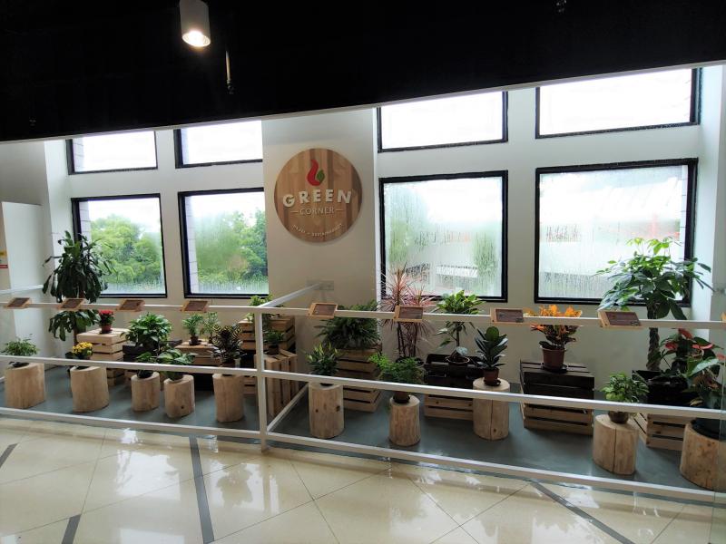 We hope to see extension of this green belt to all the offices and classrooms on campus.