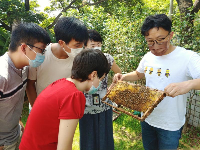 Eco Pioneer providing training to the bee ambassadors.
