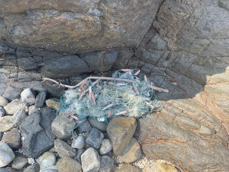 Fishing net found on the beach.