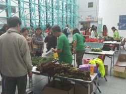 Green Products Fair 2017-7.jpg